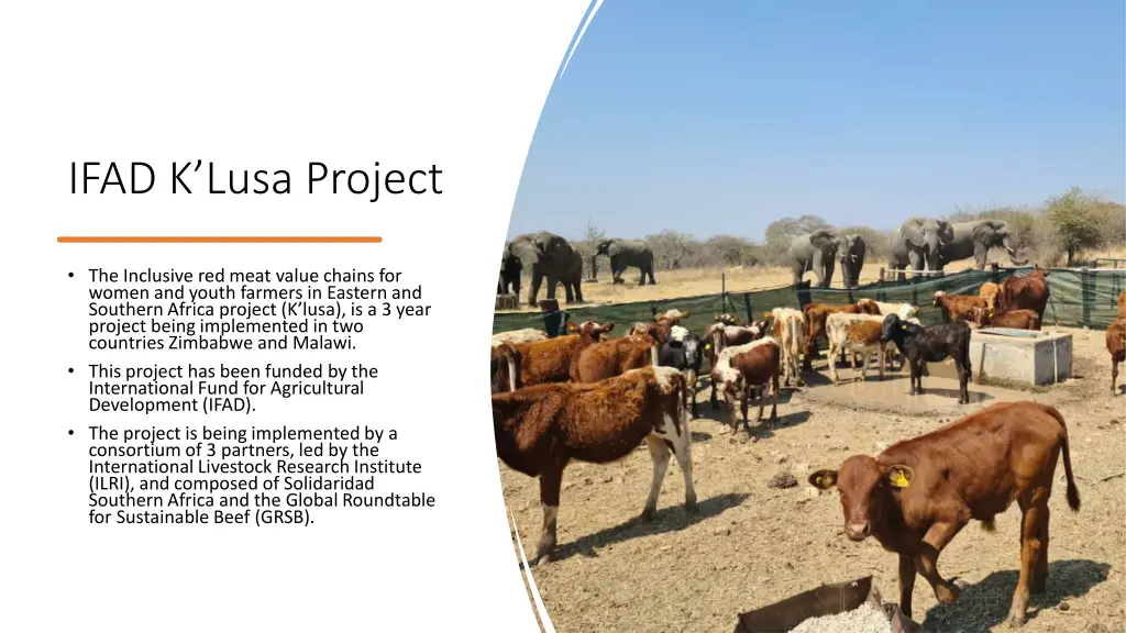 ifad k lusa project