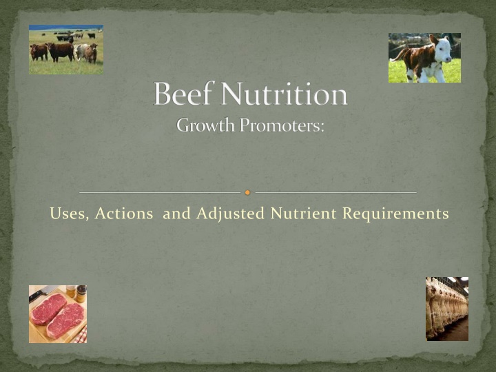 beef nutrition growth promoters