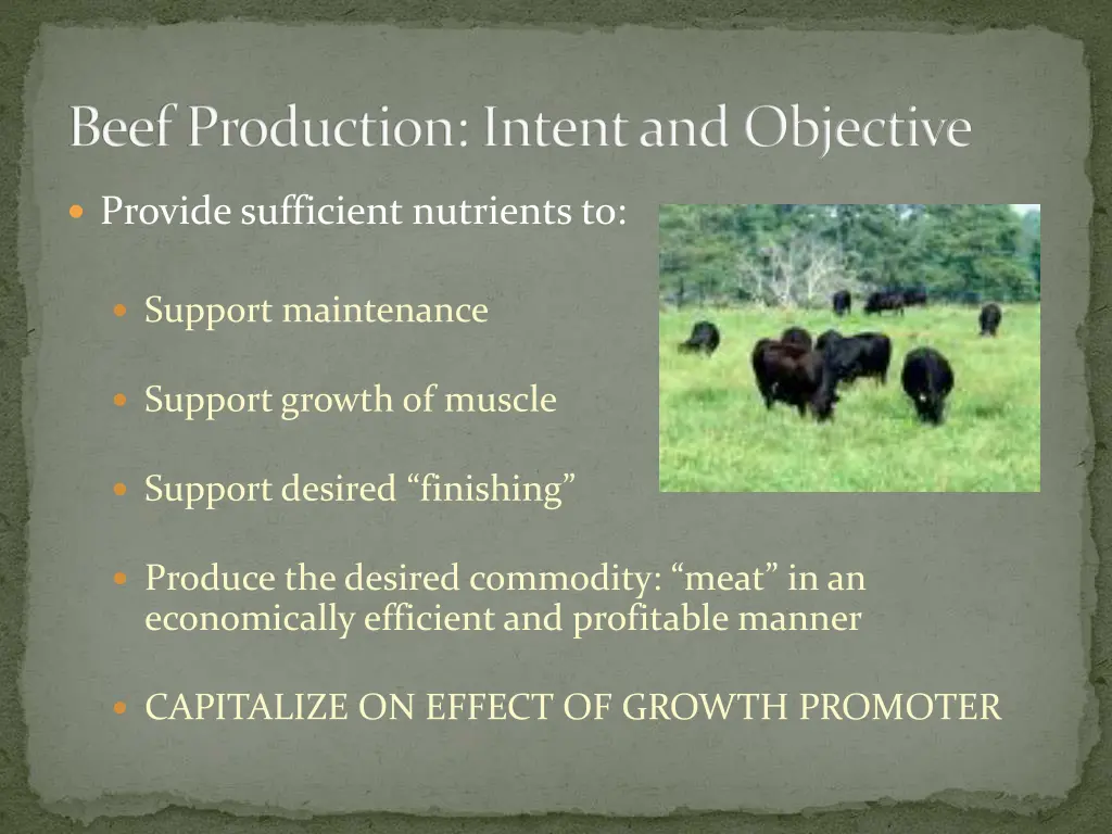 beef production intent and objective