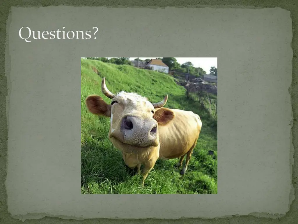 questions