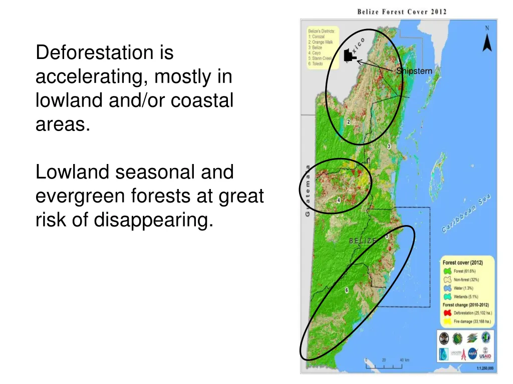 deforestation is accelerating mostly in lowland