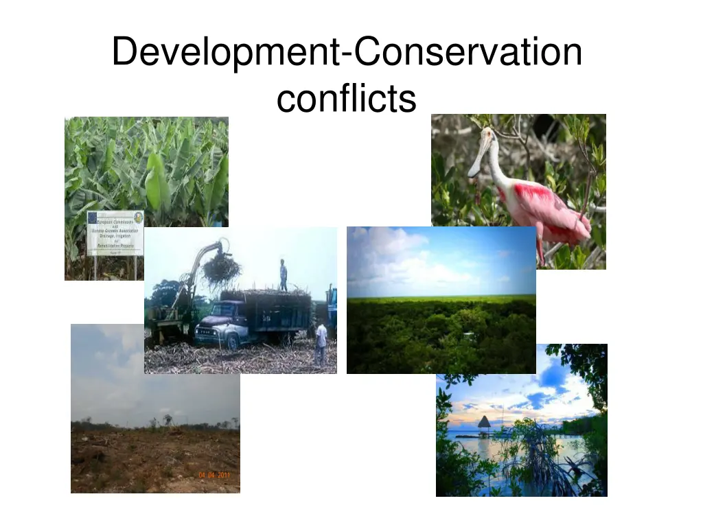 development conservation conflicts