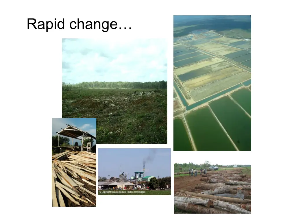 rapid change