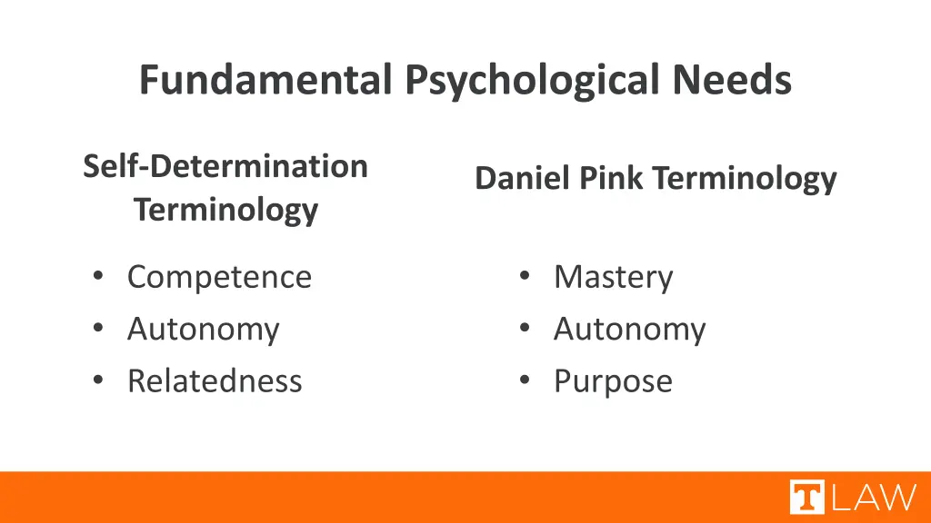 fundamental psychological needs