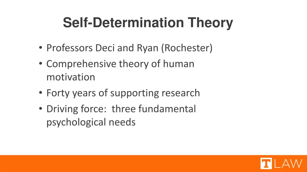 self determination theory