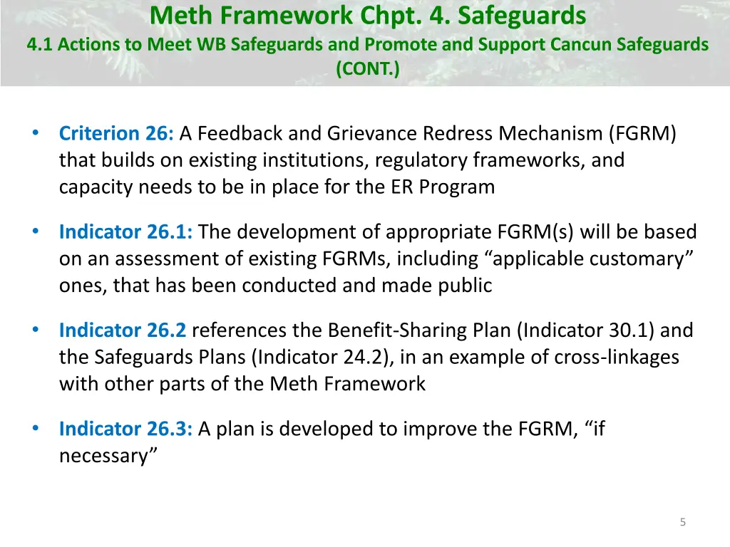 meth framework chpt 4 safeguards 4 1 actions 1