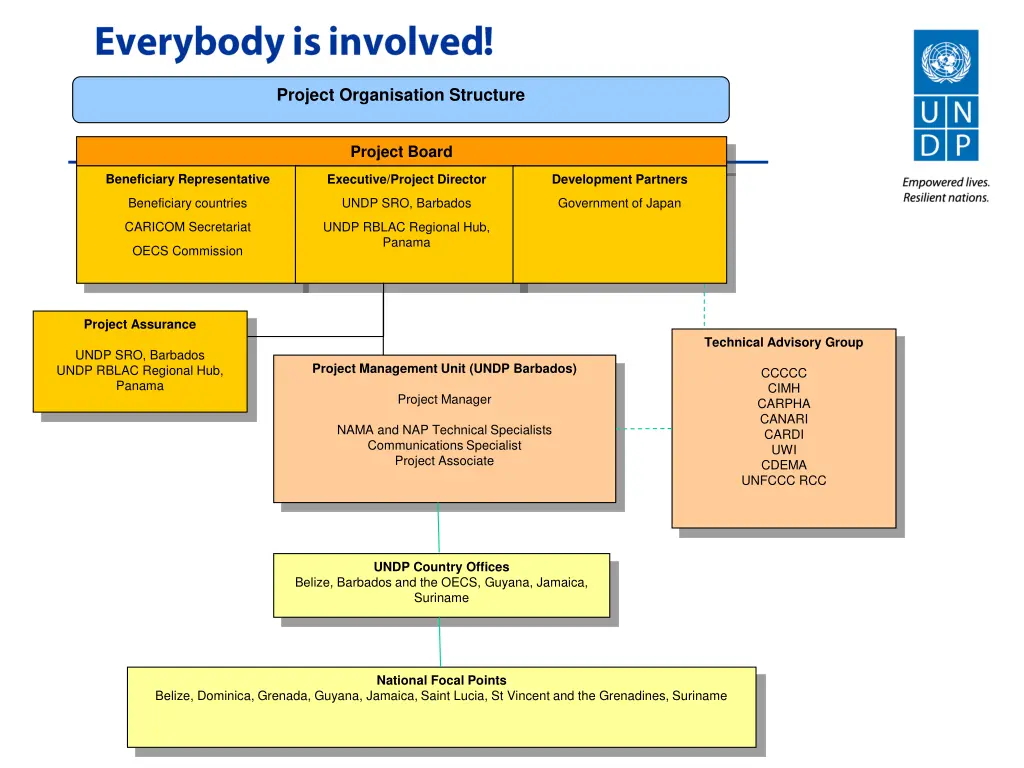 project organisation structure