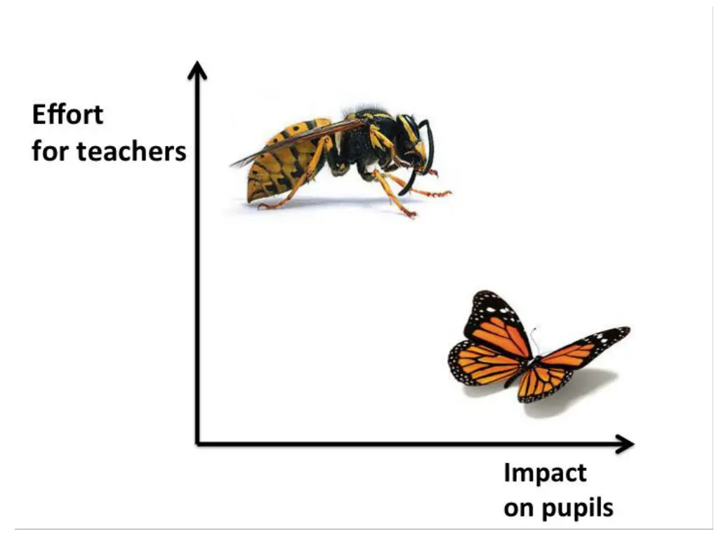 image result for hornets and butterflies