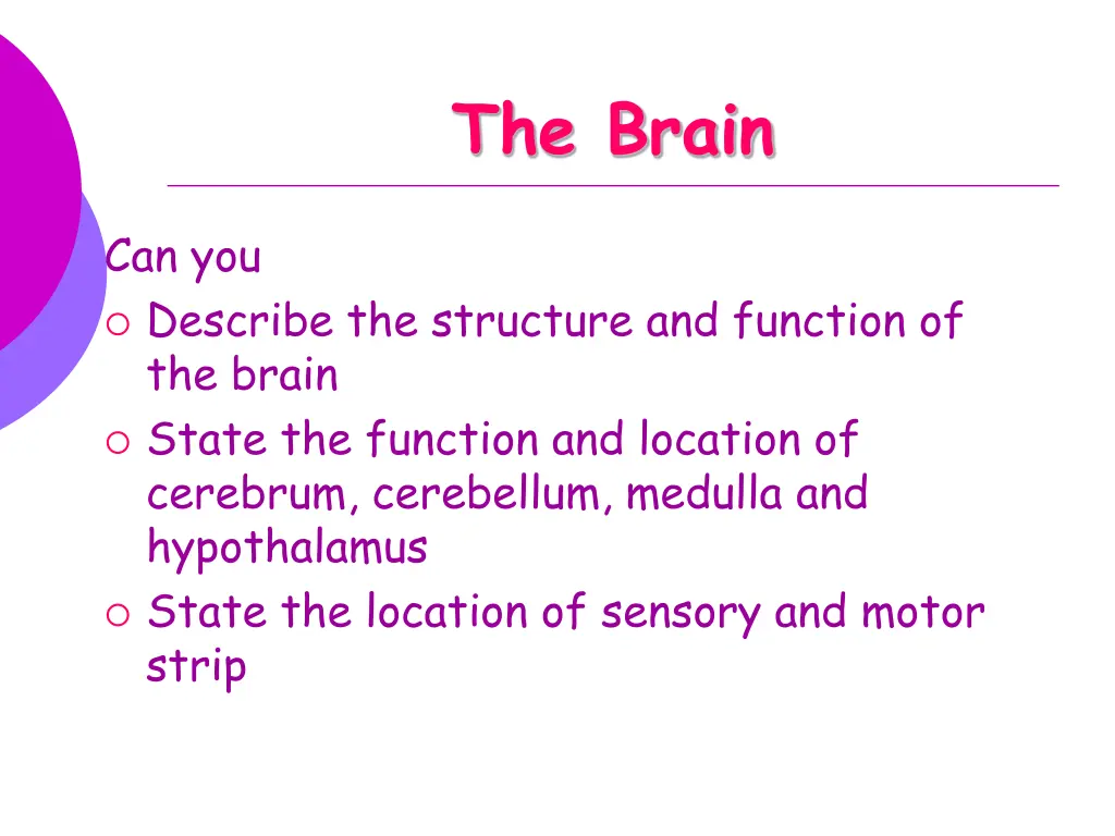 the brain 3