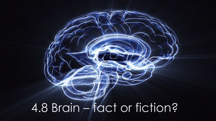4 8 brain fact or fiction