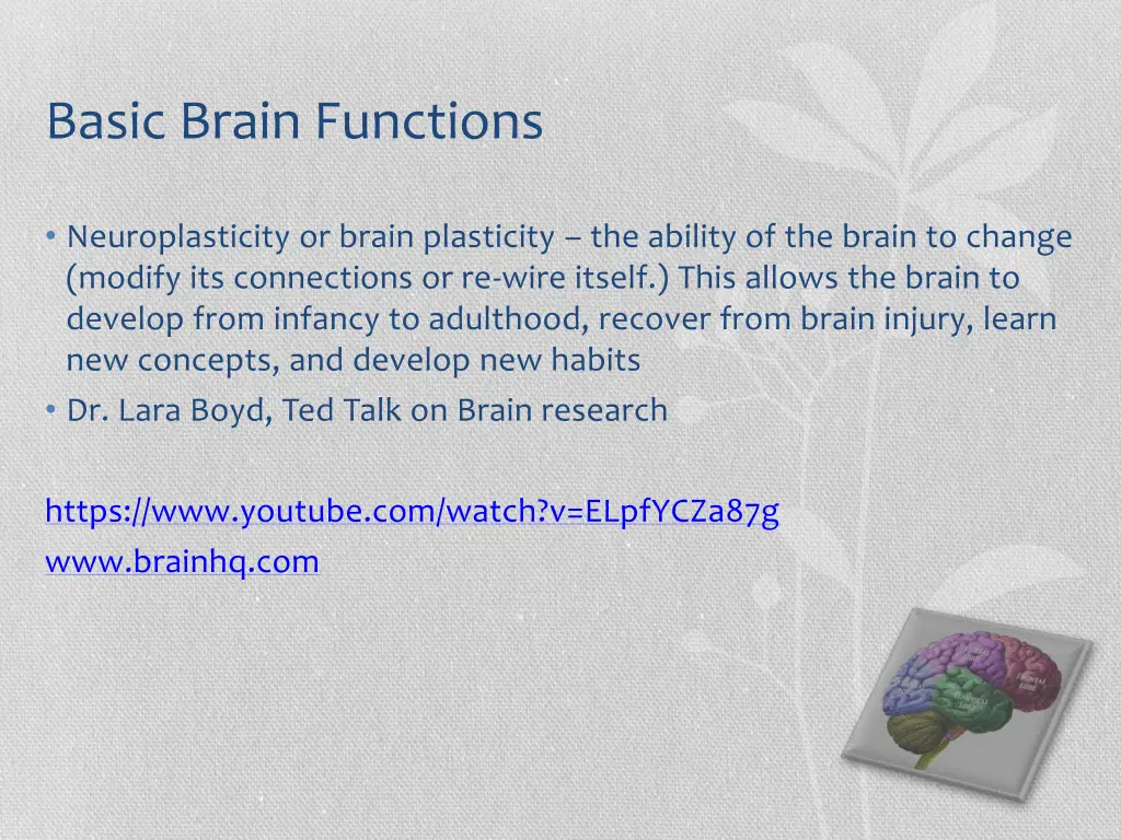 basic brain functions