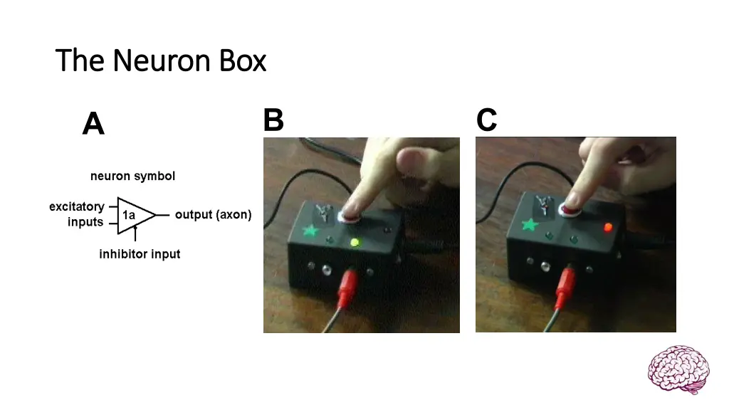 the neuron box the neuron box