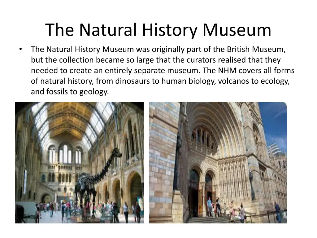 the natural history museum