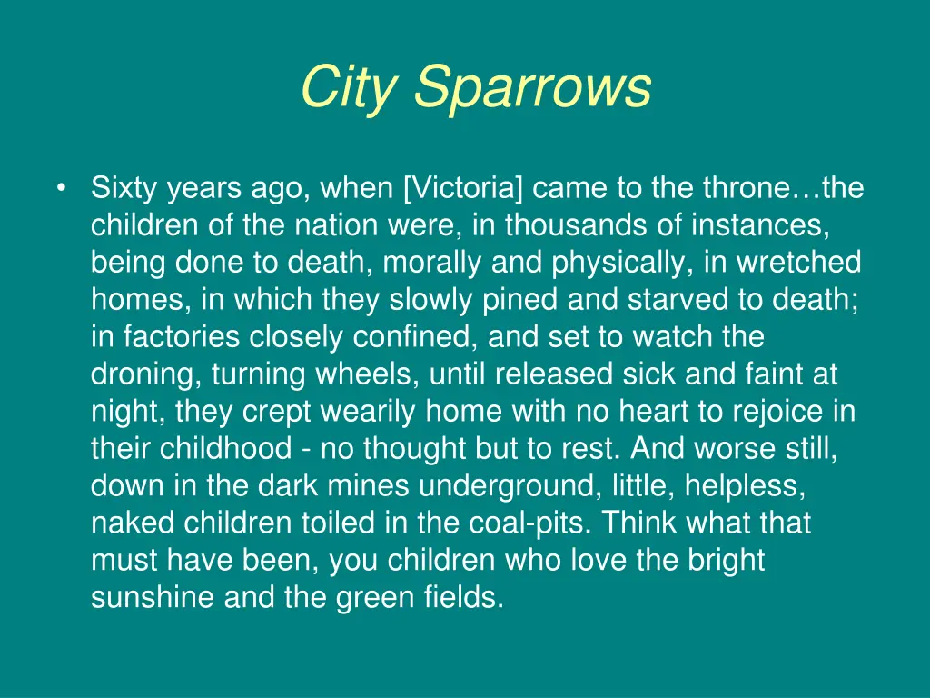 city sparrows