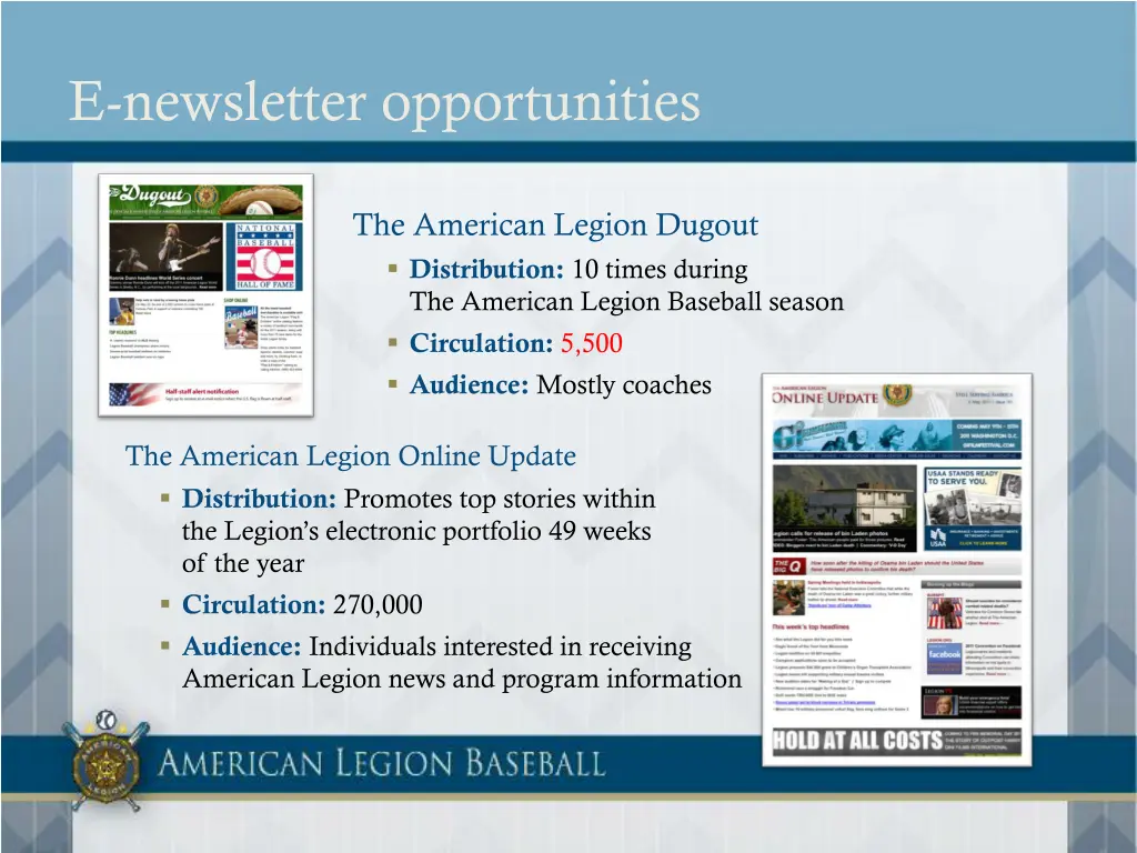 e newsletter opportunities