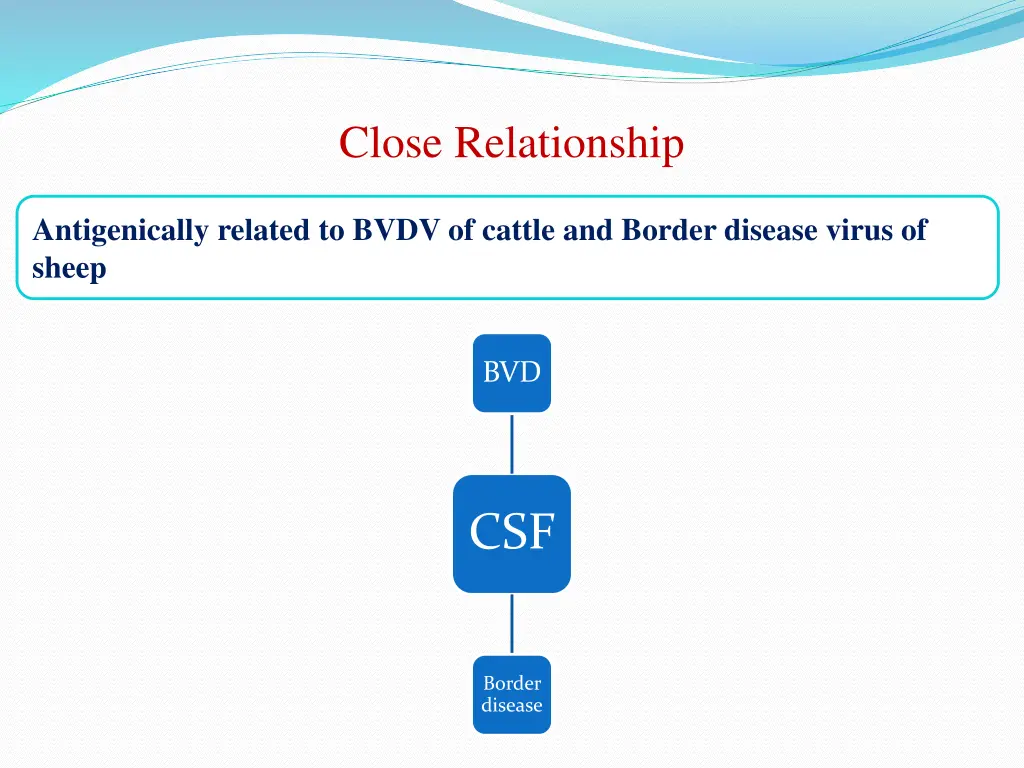 close relationship