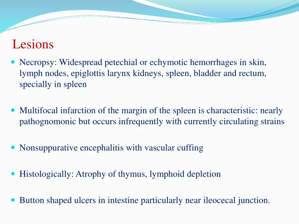 lesions 1