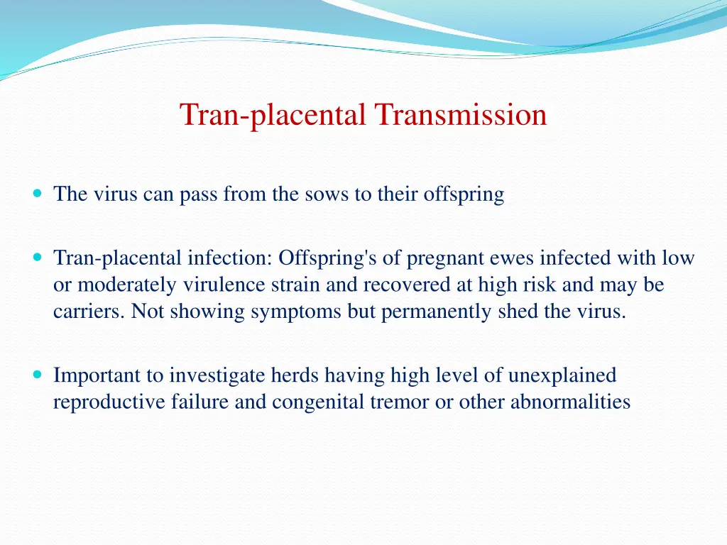 tran placental transmission