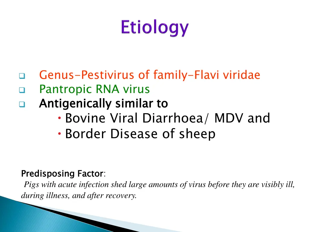 genus pestivirus of family flavi viridae
