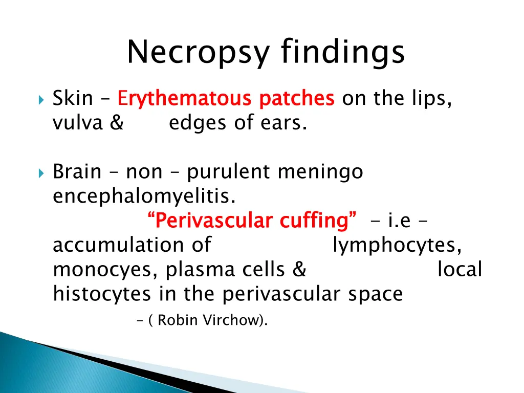 necropsy findings
