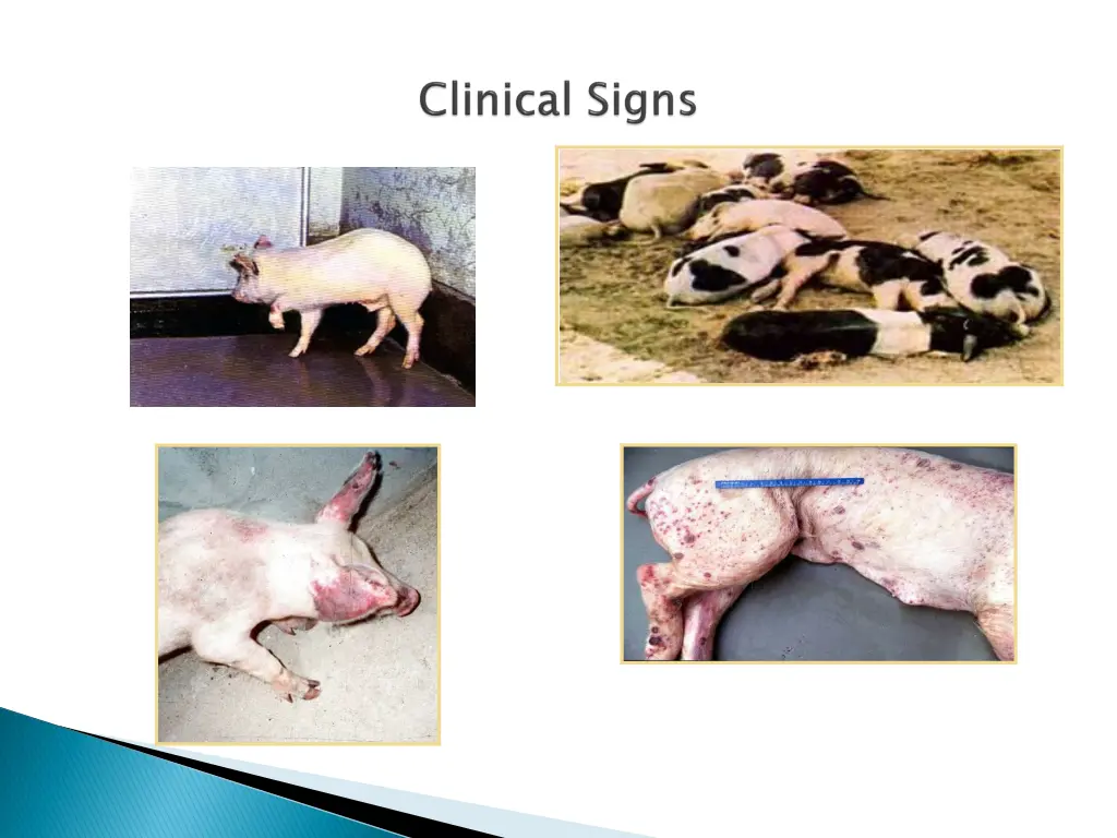 slide9