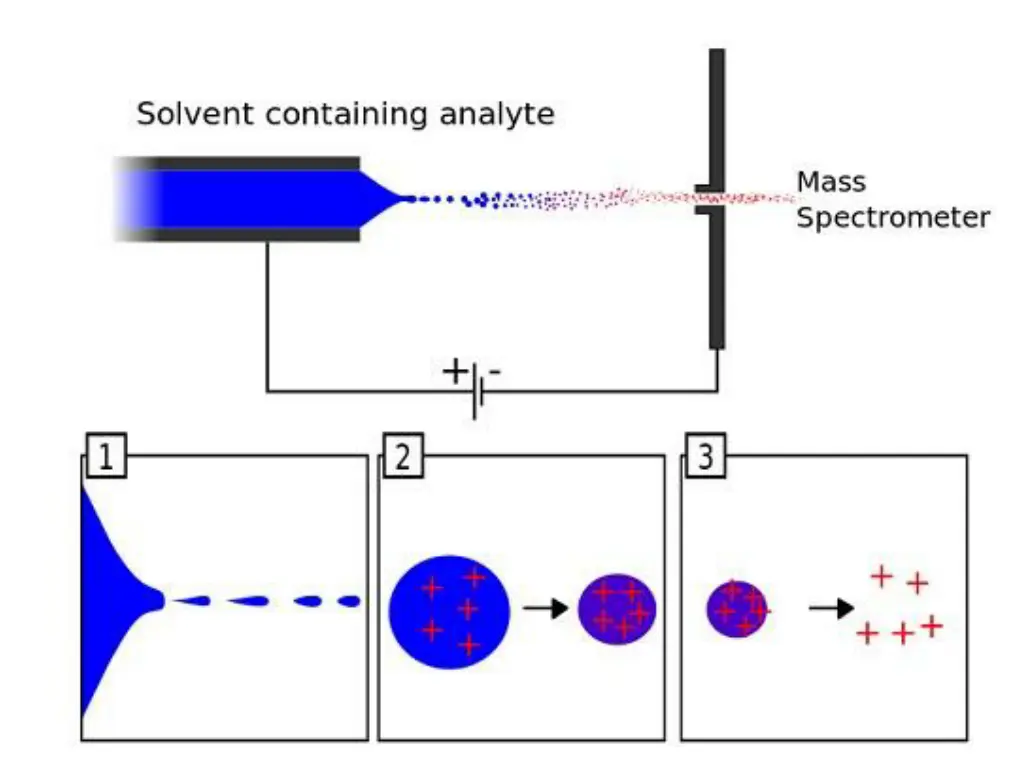 slide13
