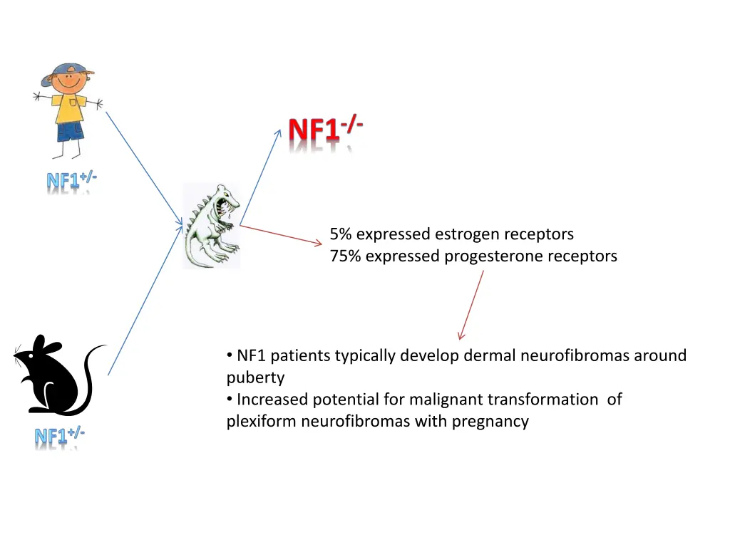 5 expressed estrogen receptors 75 expressed