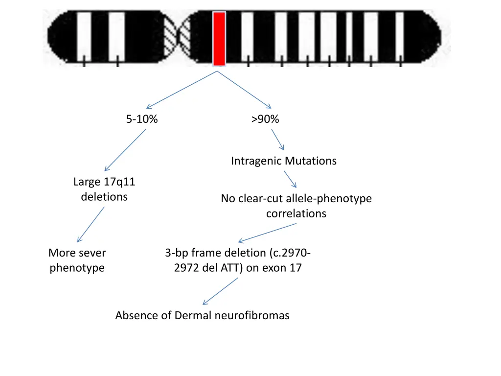 slide12