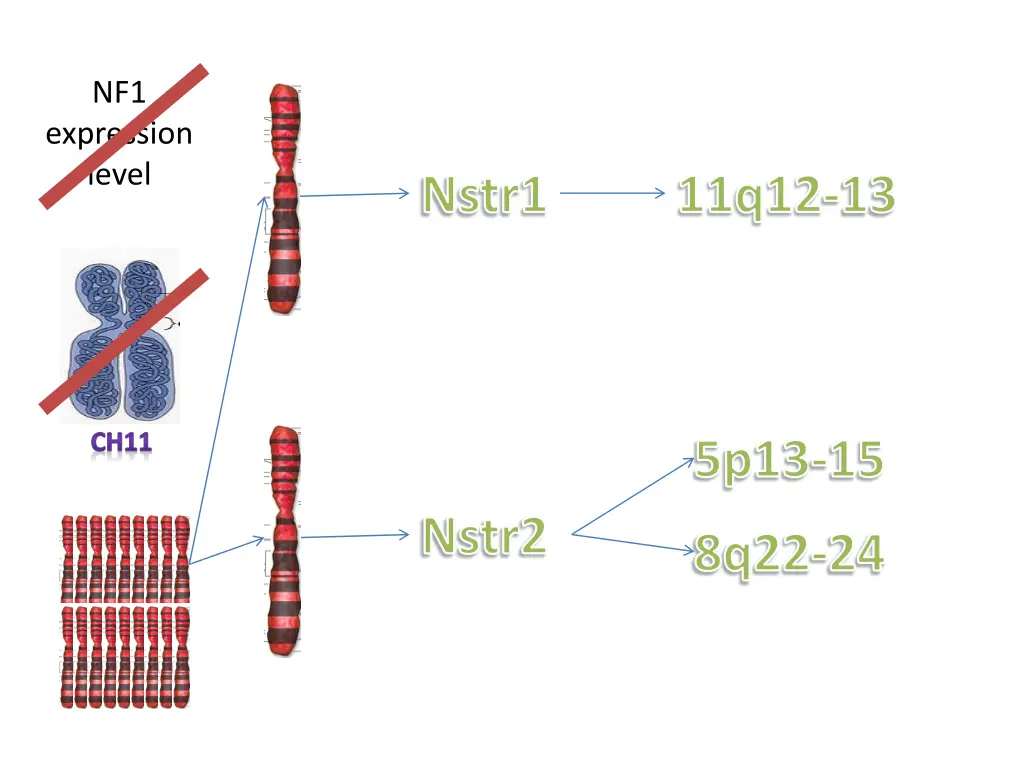slide18