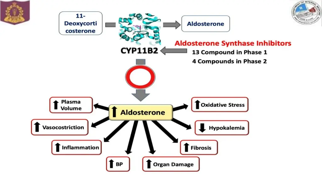 slide3