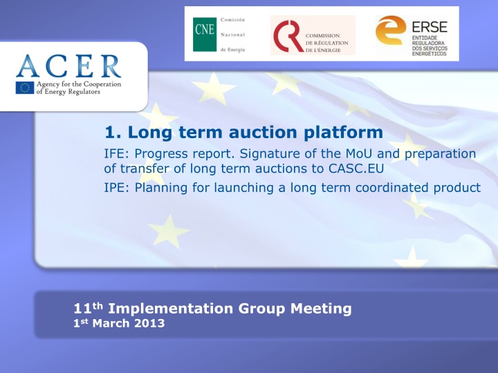 1 long term auction platform ife progress report