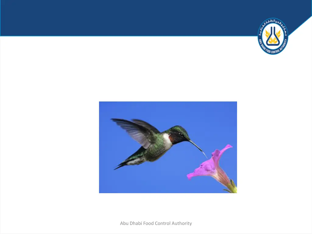 abu dhabi food control authority