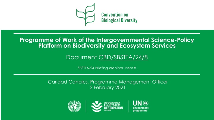 programme of work of the intergovernmental