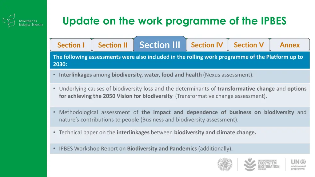 update on the work programme of the ipbes 1