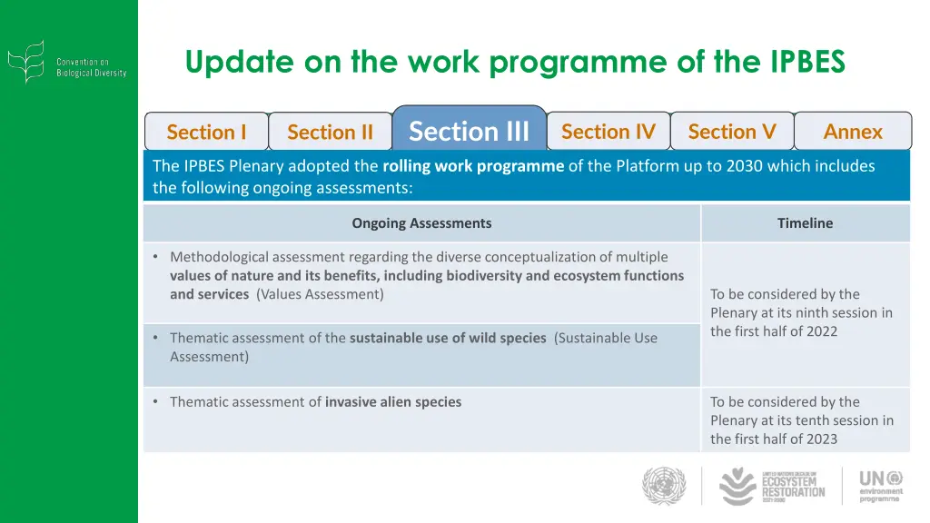 update on the work programme of the ipbes