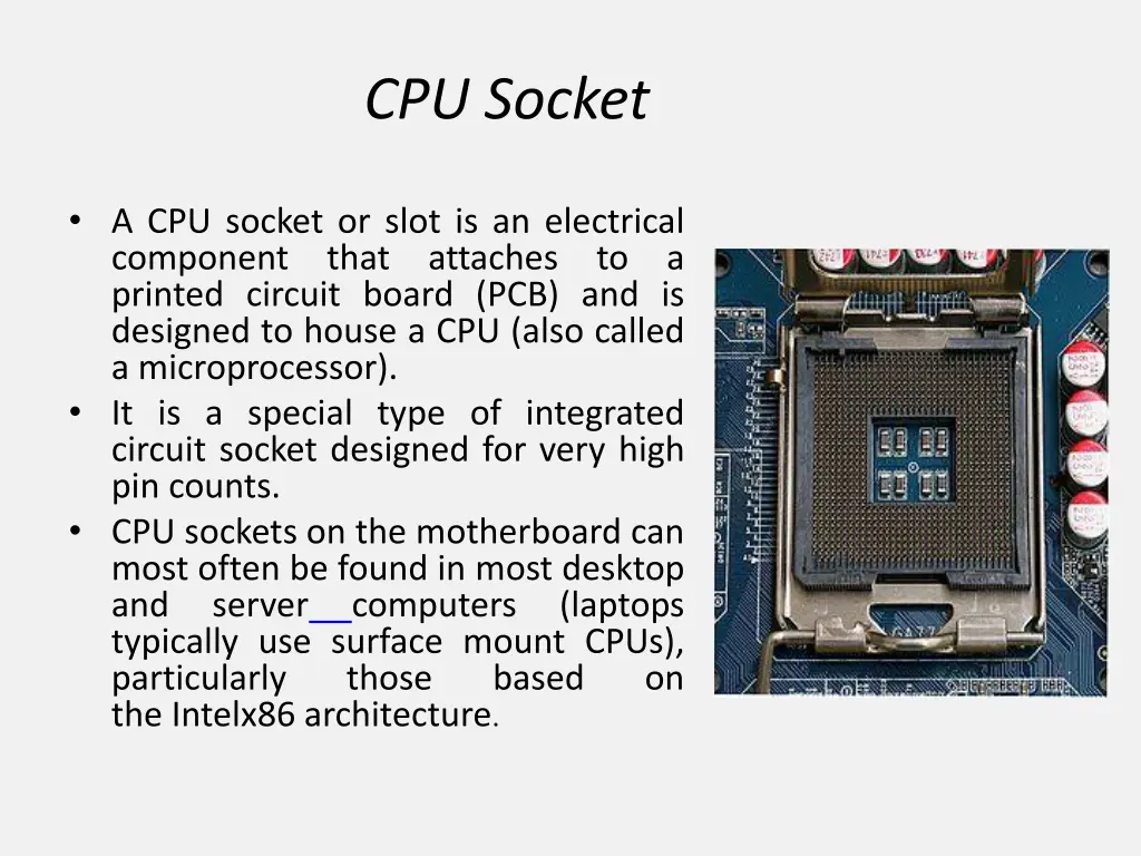 cpu socket