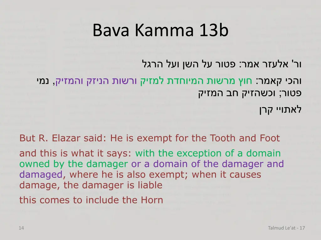 bava kamma 13b 8