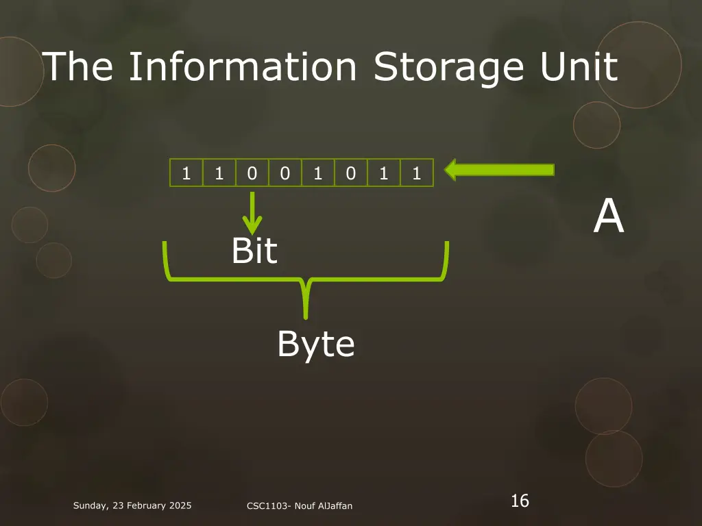 the information storage unit