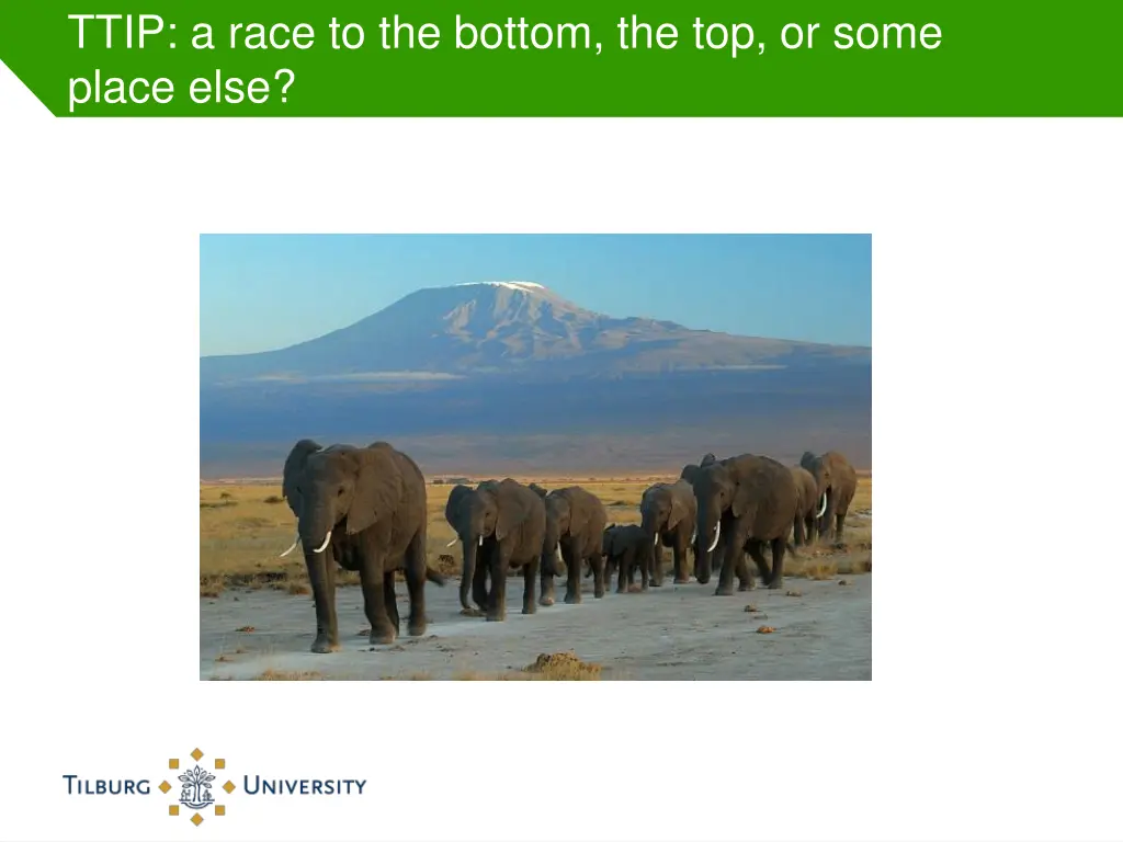 ttip a race to the bottom the top or some place