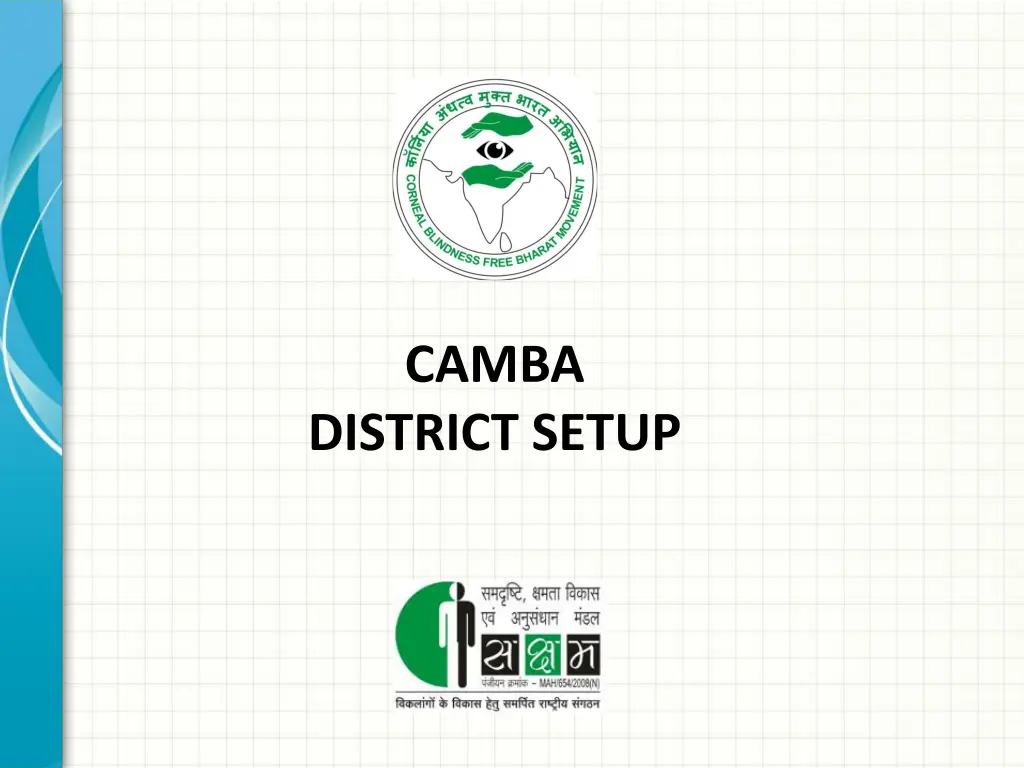 camba 1