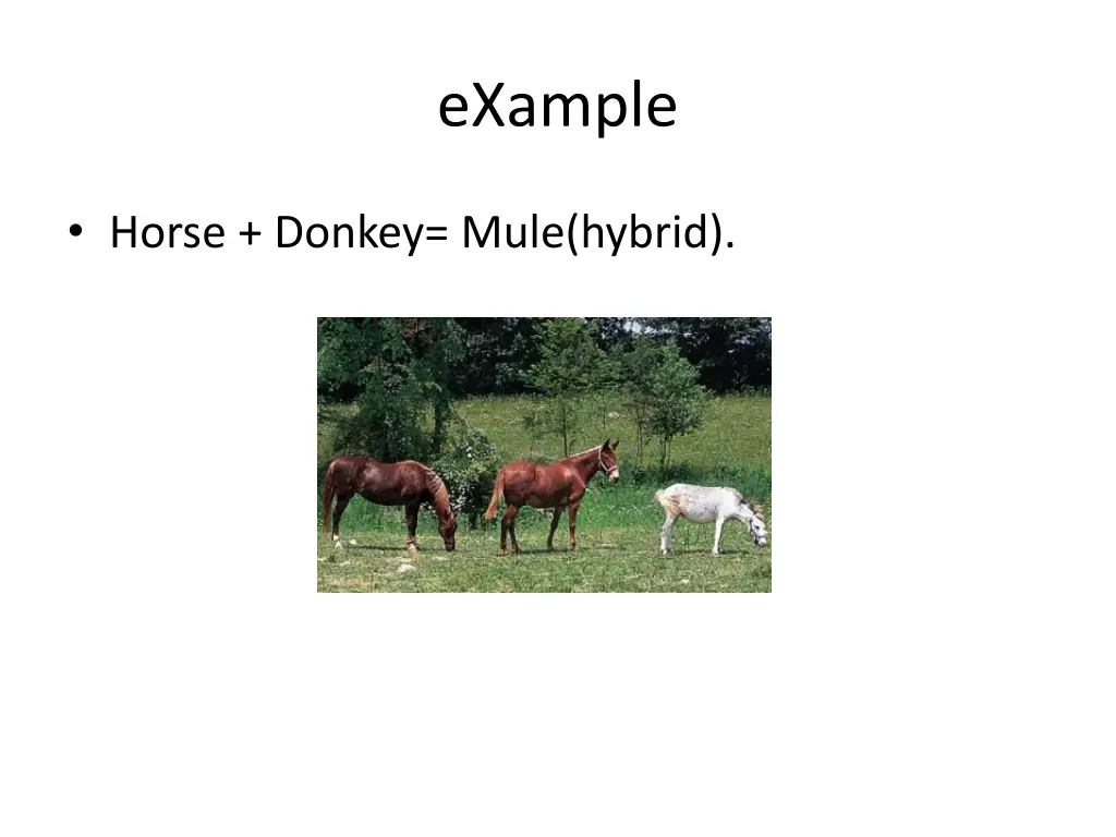 example
