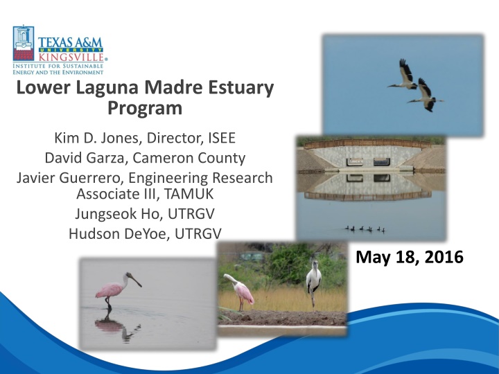 lower laguna madre estuary program