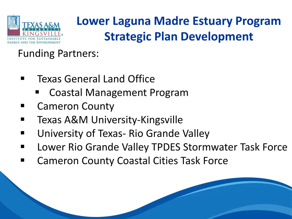 lower laguna madre estuary program strategic plan