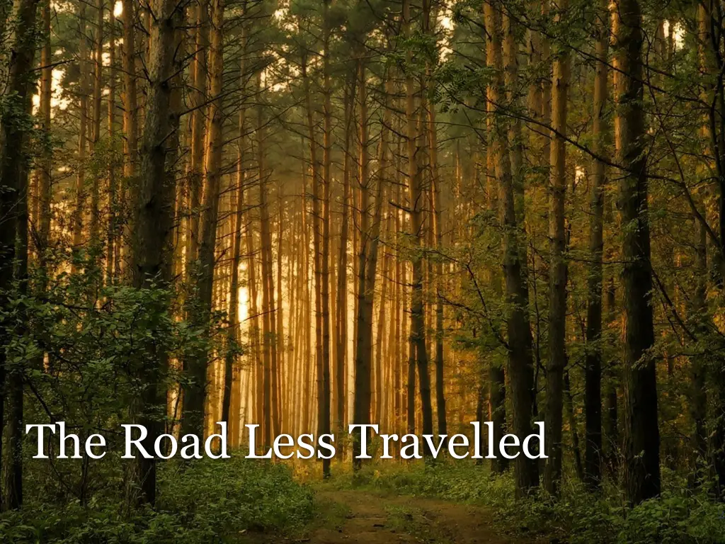 the road less travelled