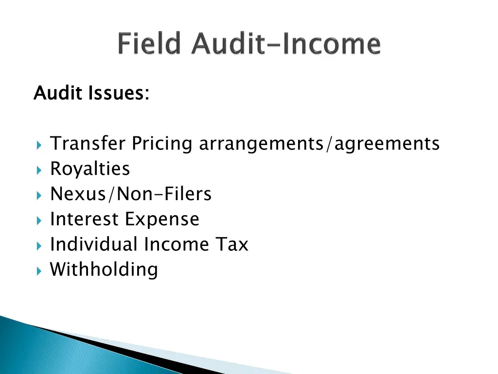 audit issues 1