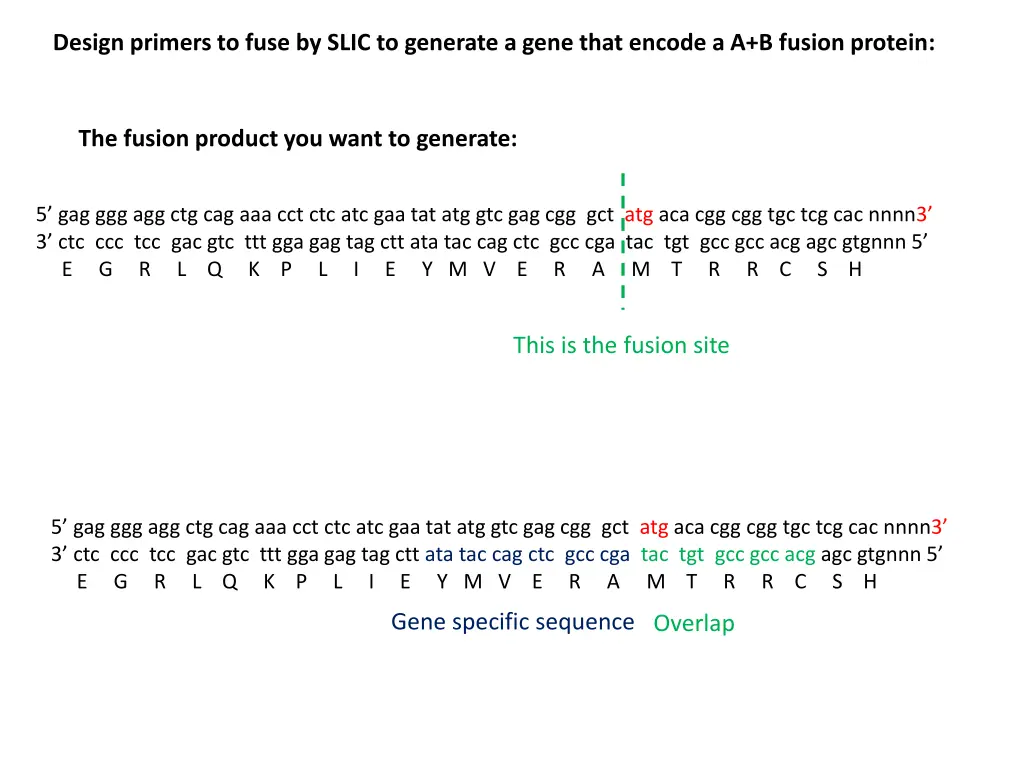 design primers to fuse by slic to generate a gene 1