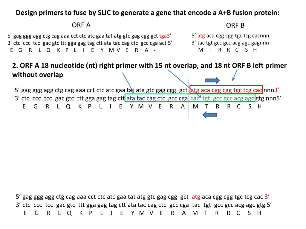 design primers to fuse by slic to generate a gene 2