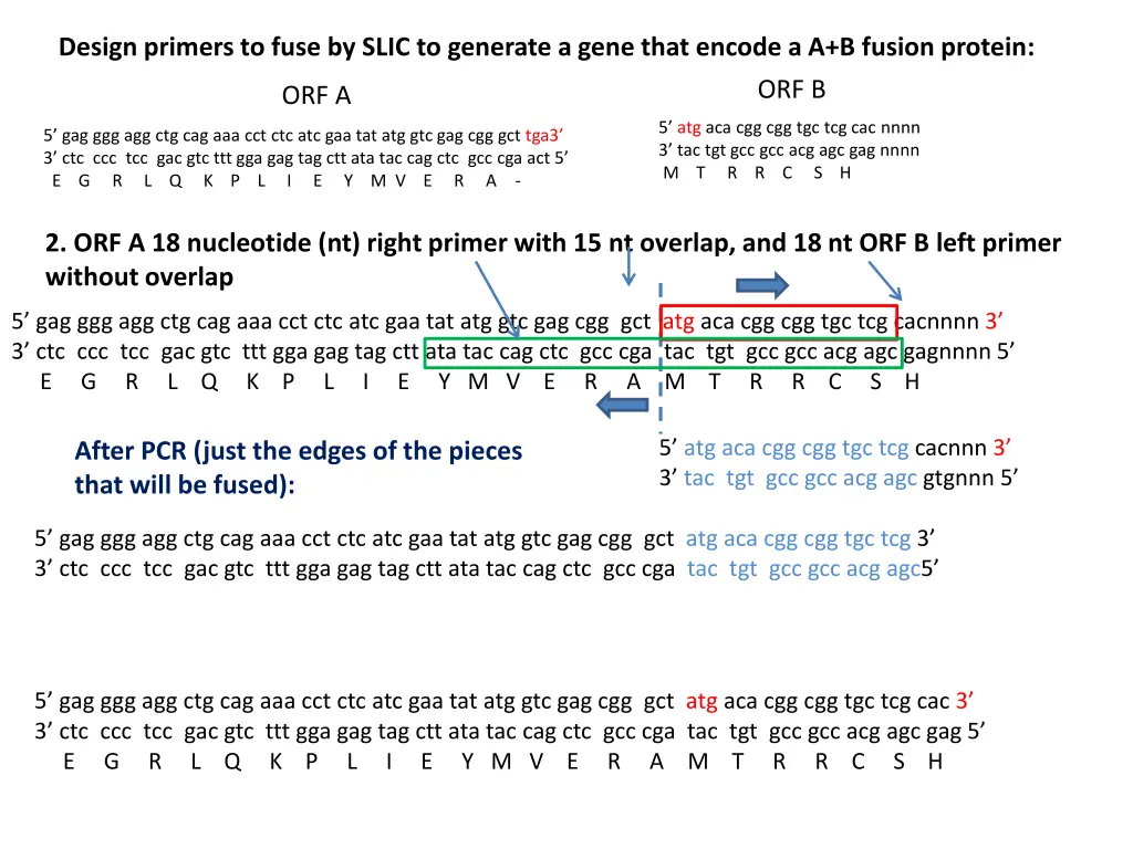 design primers to fuse by slic to generate a gene 3