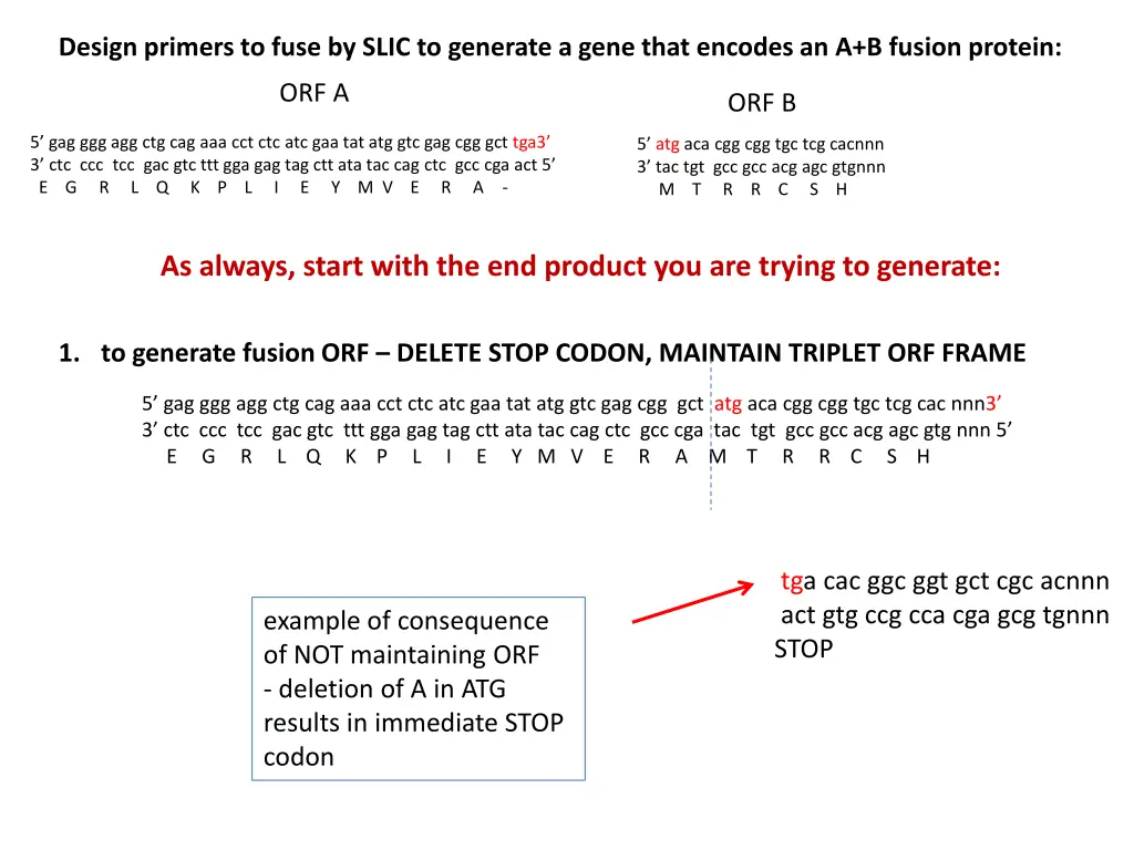 design primers to fuse by slic to generate a gene