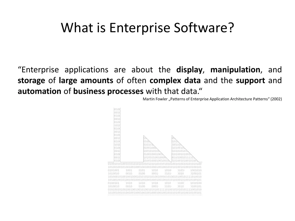what is enterprise software